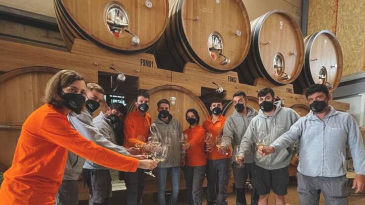 Emilio Moro concluye la vendimia