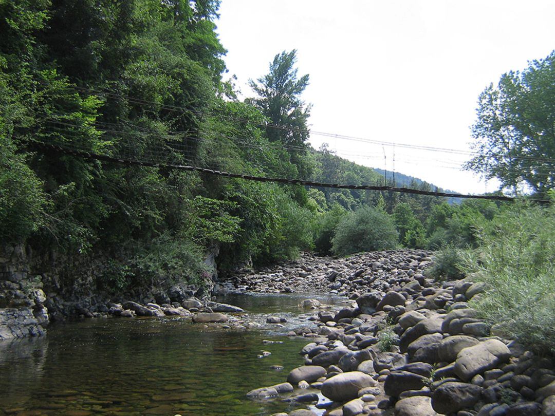 Confederación Hidrográfica del Cantábrico Río Saja en Sopeña
