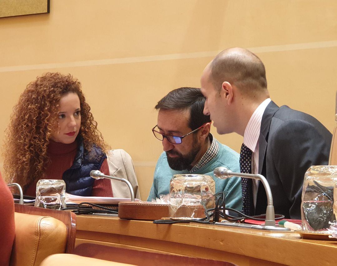 Grupo municipal de Ciudadanos en el Ayuntamiento de Segovia