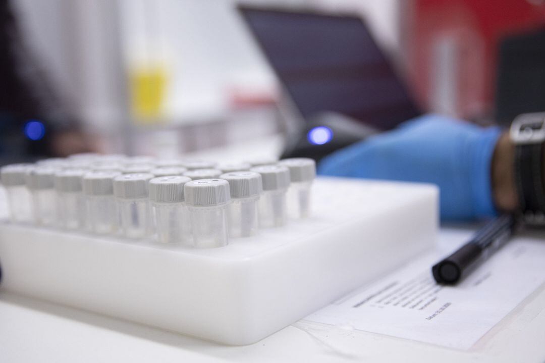 SCHOENEFELD, GERMANY