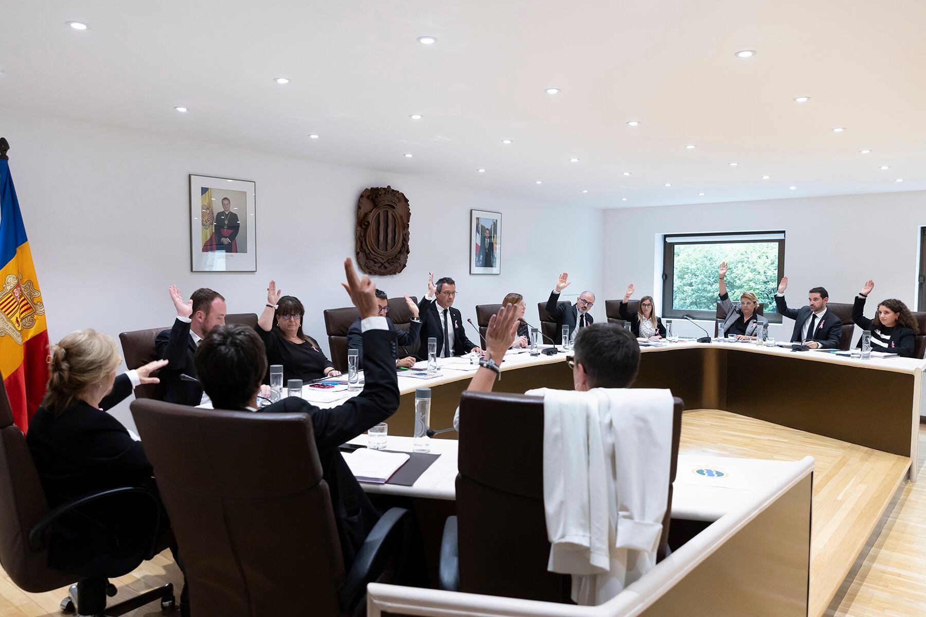 Tots els consellers comunals han aprovat per unanimitat l'inici del projecte per crear els pisos a preu assequible a la zona de El Cedre