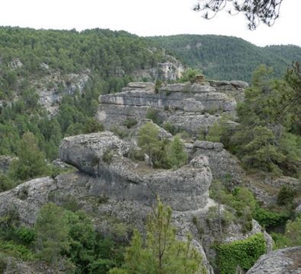 Formas rocosas en medio de la vegetación en Carrascosa (Cuenca)