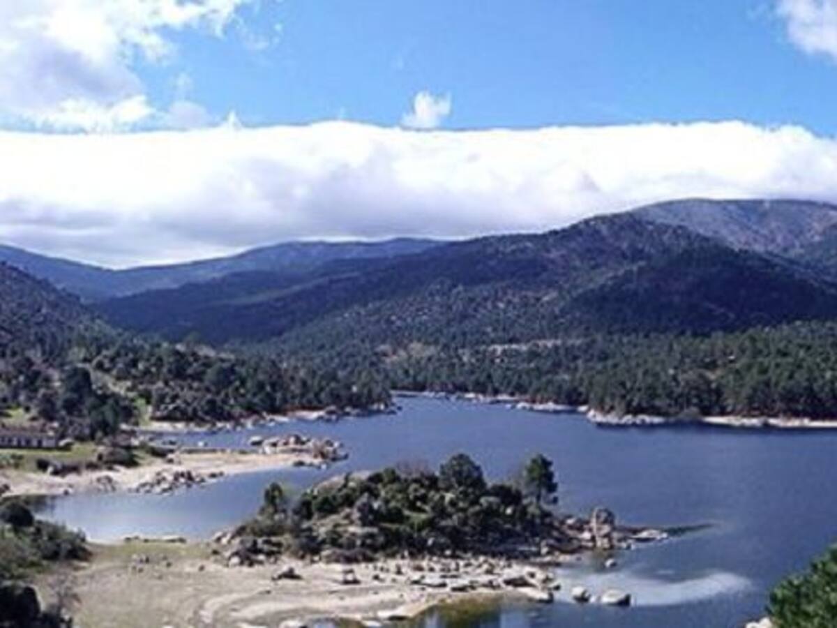 Operación contra el furtivismo