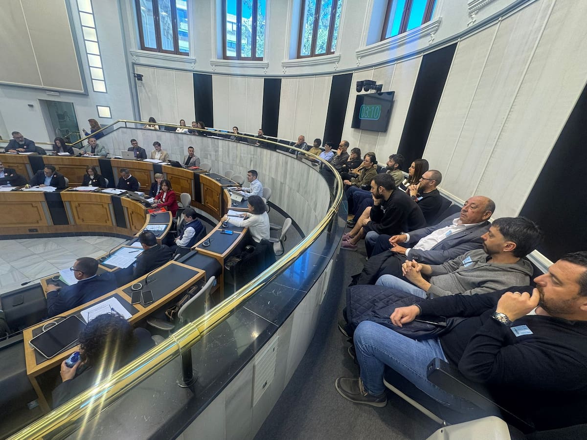 El pleno de la Diputación decide que no es competencia suya tratar una moción sobre la situación del Ayuntamiento de L'Alqueria d'Asnar