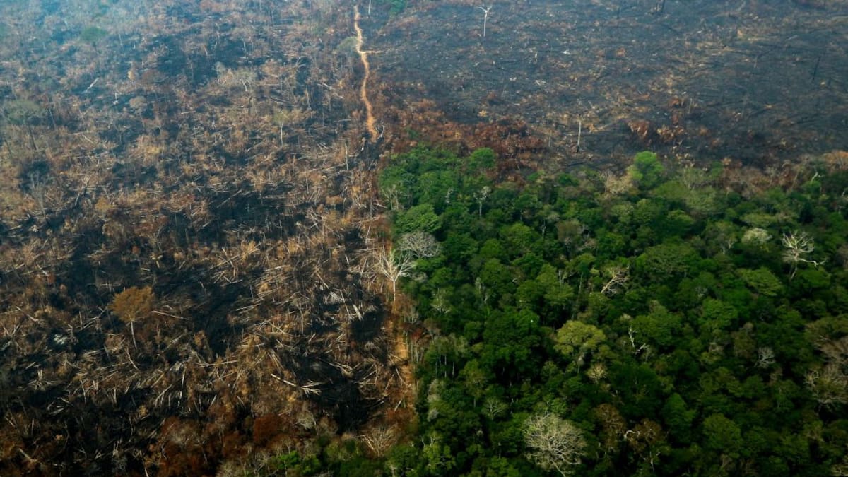 La Amazonía en juego