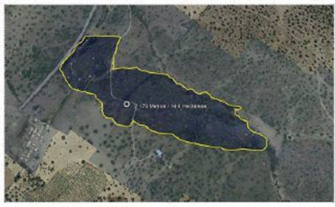 Zona quemada en el incendio de Talarrubias del 6 de julio de 2021