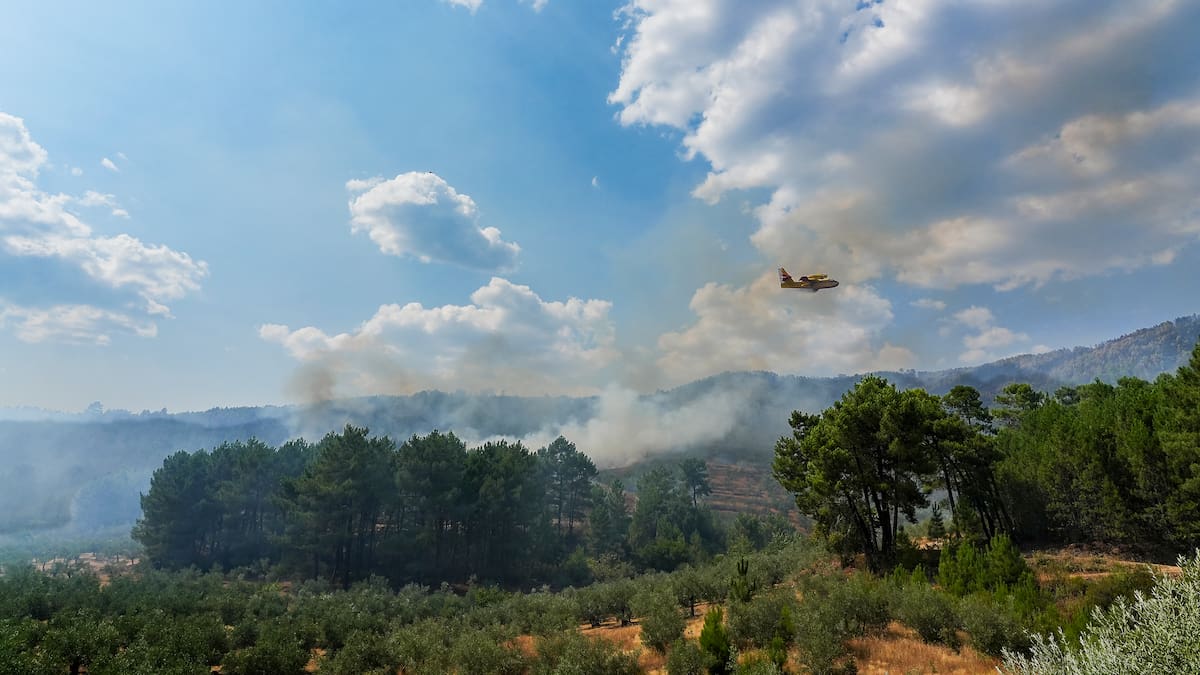 La Ventana a las 16h | Un agente forestal explica la estrategia para frenar los incendios: "Prendemos el monte"