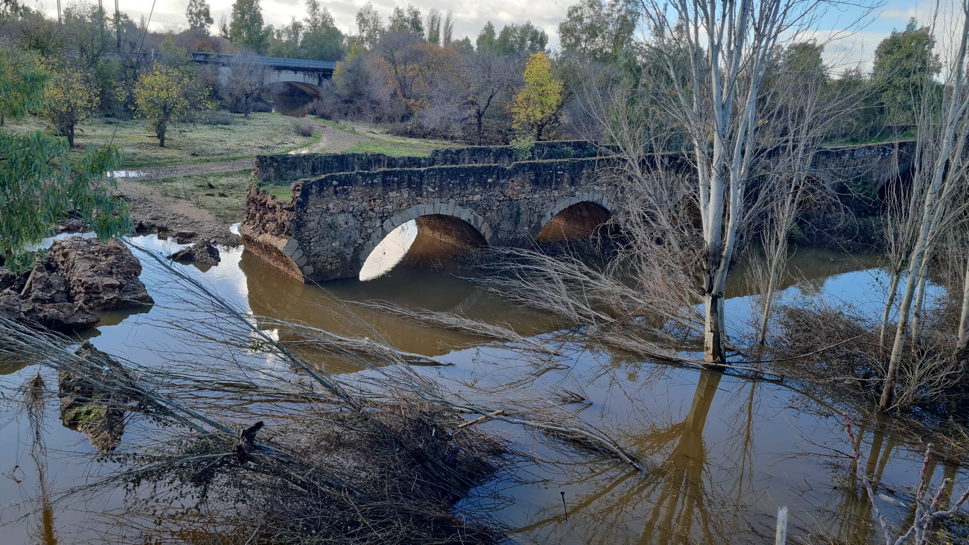 Situación en la que ha quedado el Puente de Cantillana