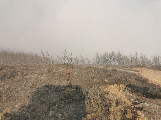 Zona quemada en el incendio del Real Sitio de San Ildefonso