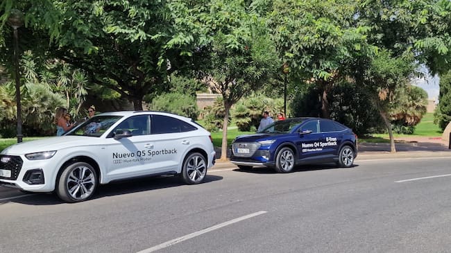 Programa especial Carthagineses y Romanos