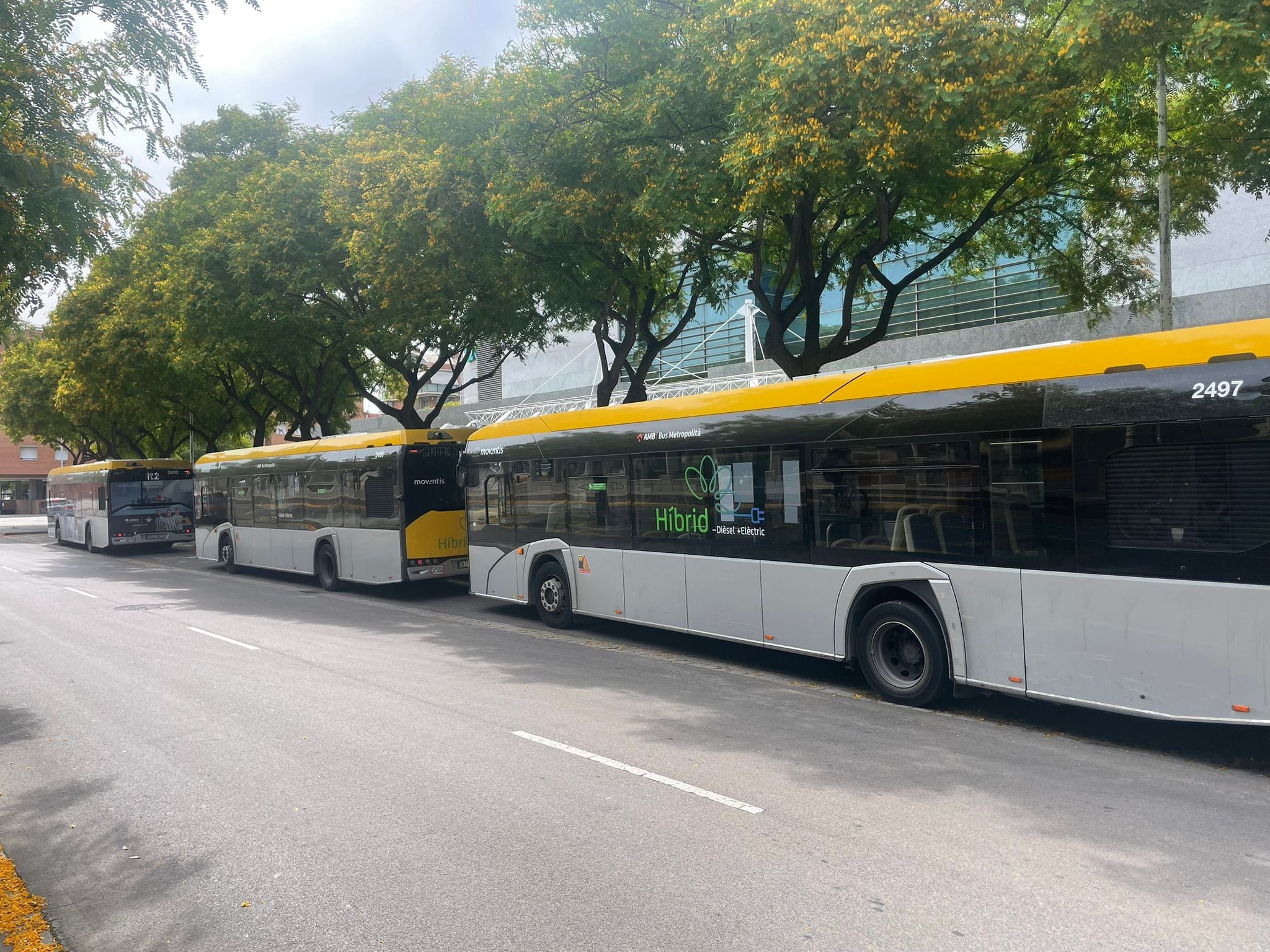Les caigudes dins dels autobusos de l'Hospitalet s'han incrementat un 40 % en els darrers 14 mesos, coincidint amb el canvi en la concessionària que presta el servei.