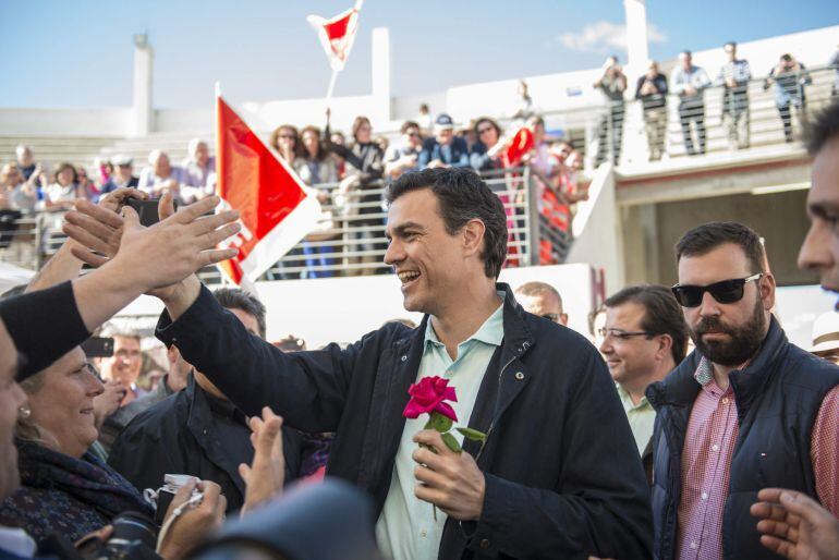 El secretario general del PSOE, Pedro Sánchez en el Día de la Rosa celebrado este domingo.