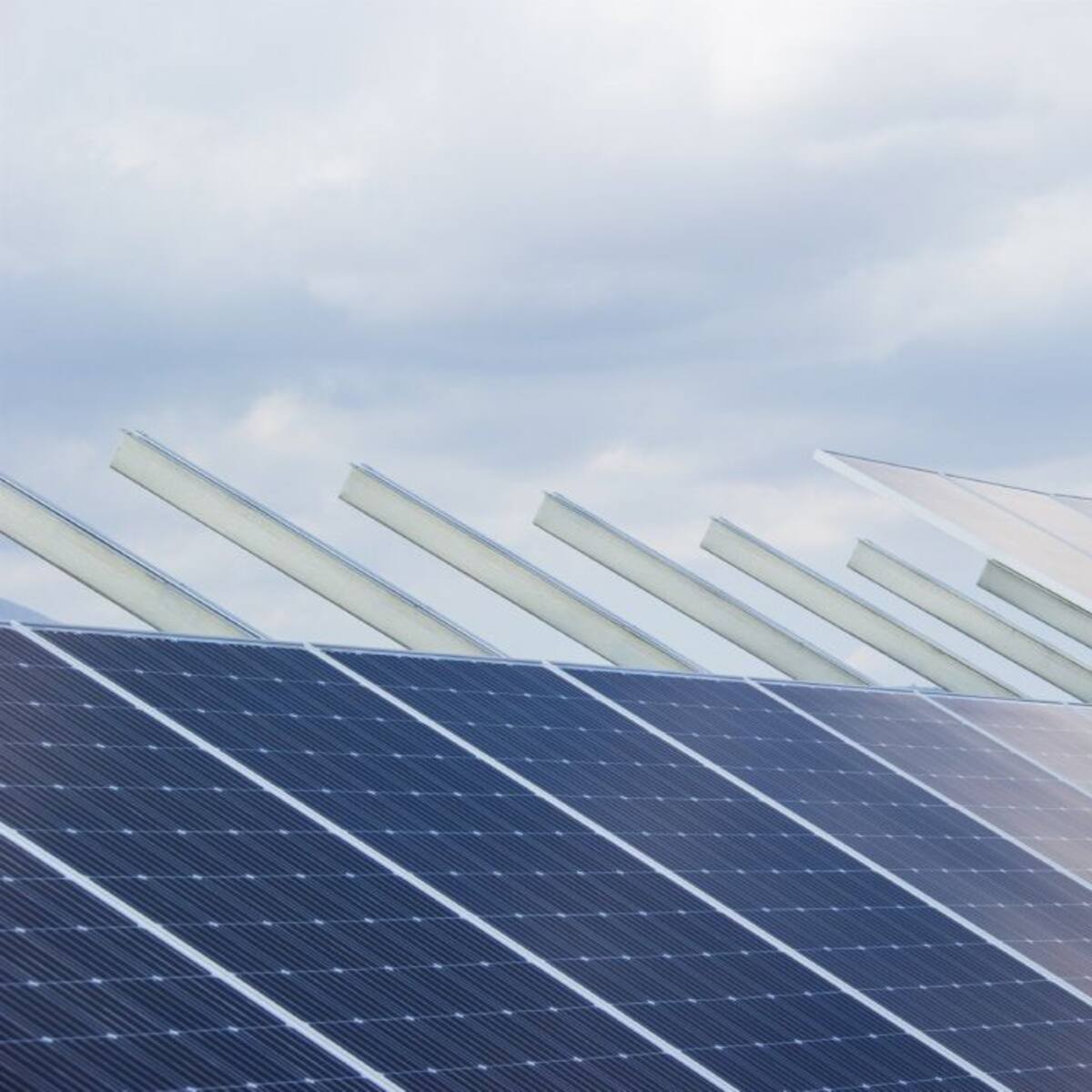 Cubillos prepara un parque fotovoltáico con 400 hectáreas de suelo público