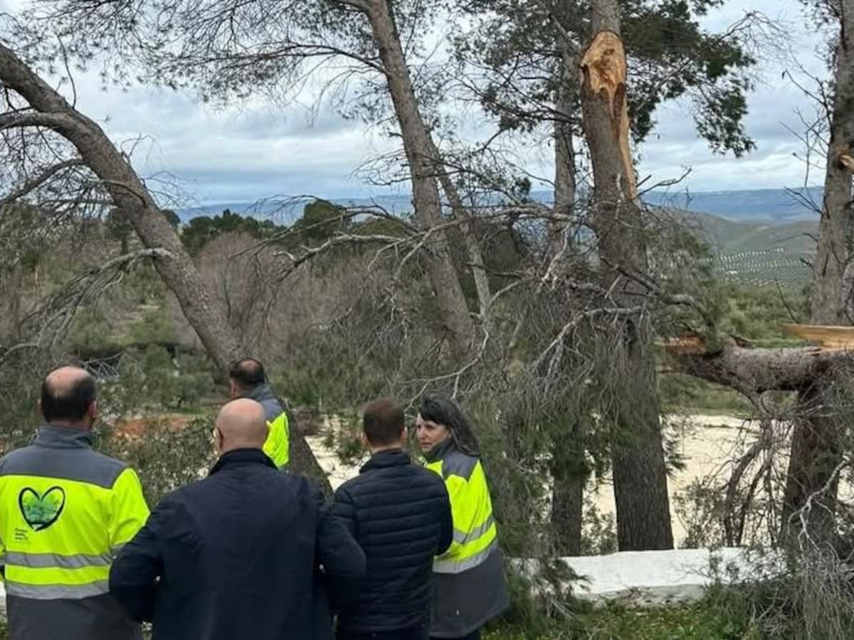 Domínguez (PP) pide “... Unidad y colaboración...” y mantiene que “... No es momento de mensajes políticos, es tiempo de atender lo inmediato...”