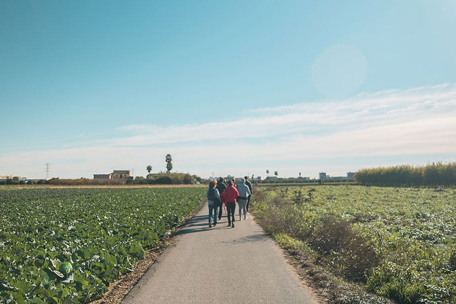 Presente y futuro de las explotaciones agrarias a debate