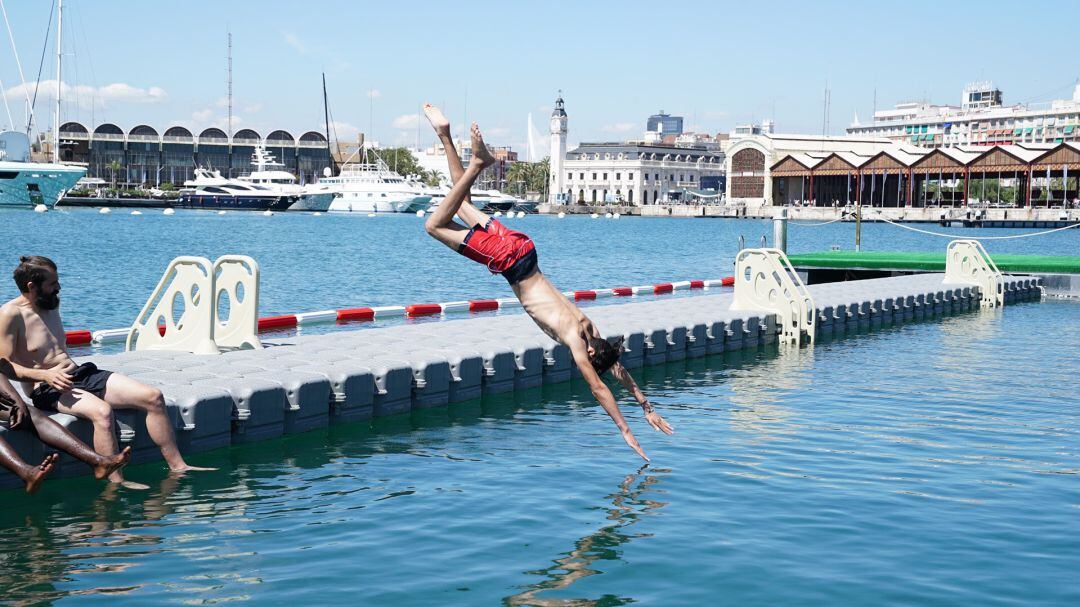 Nadadores estrenando la piscina natural en el Puerto de València