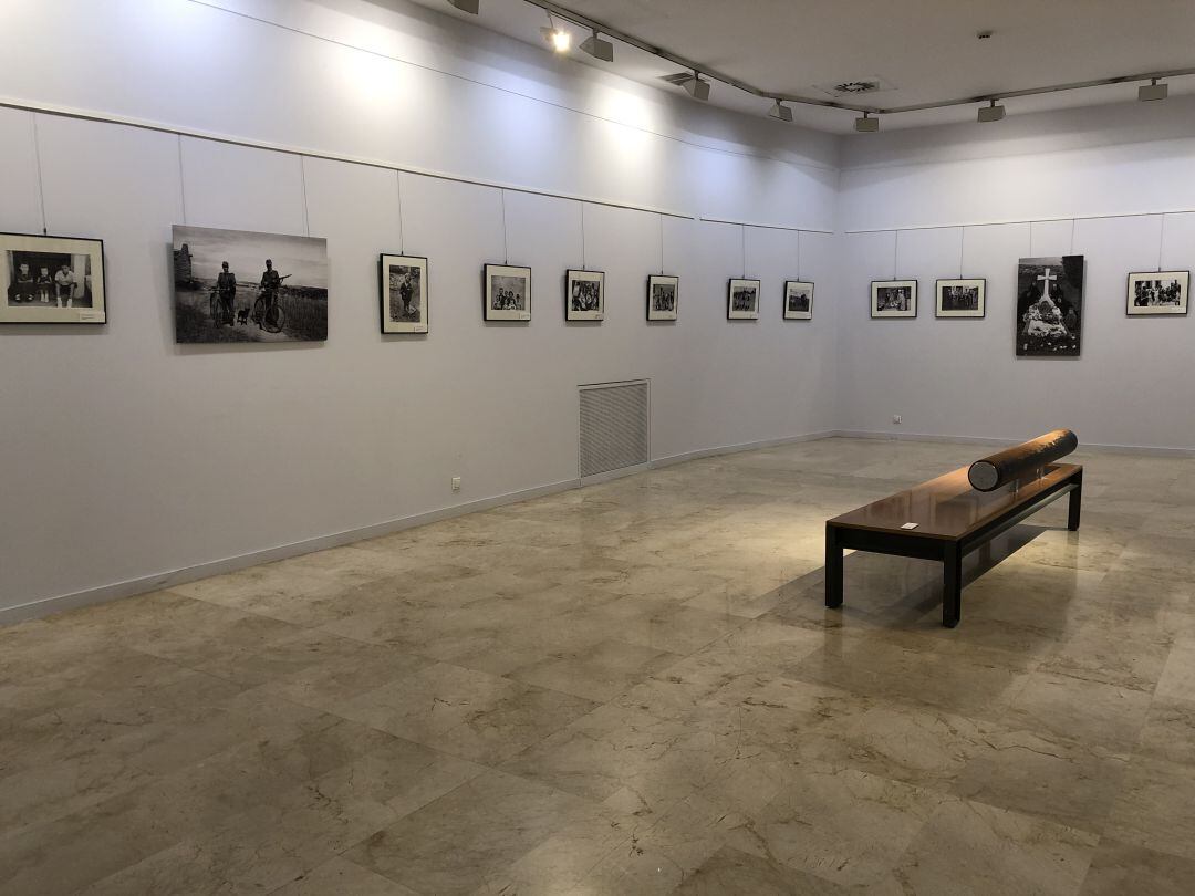 Sala de exposiciones de la Biblioteca Pública de Palencia