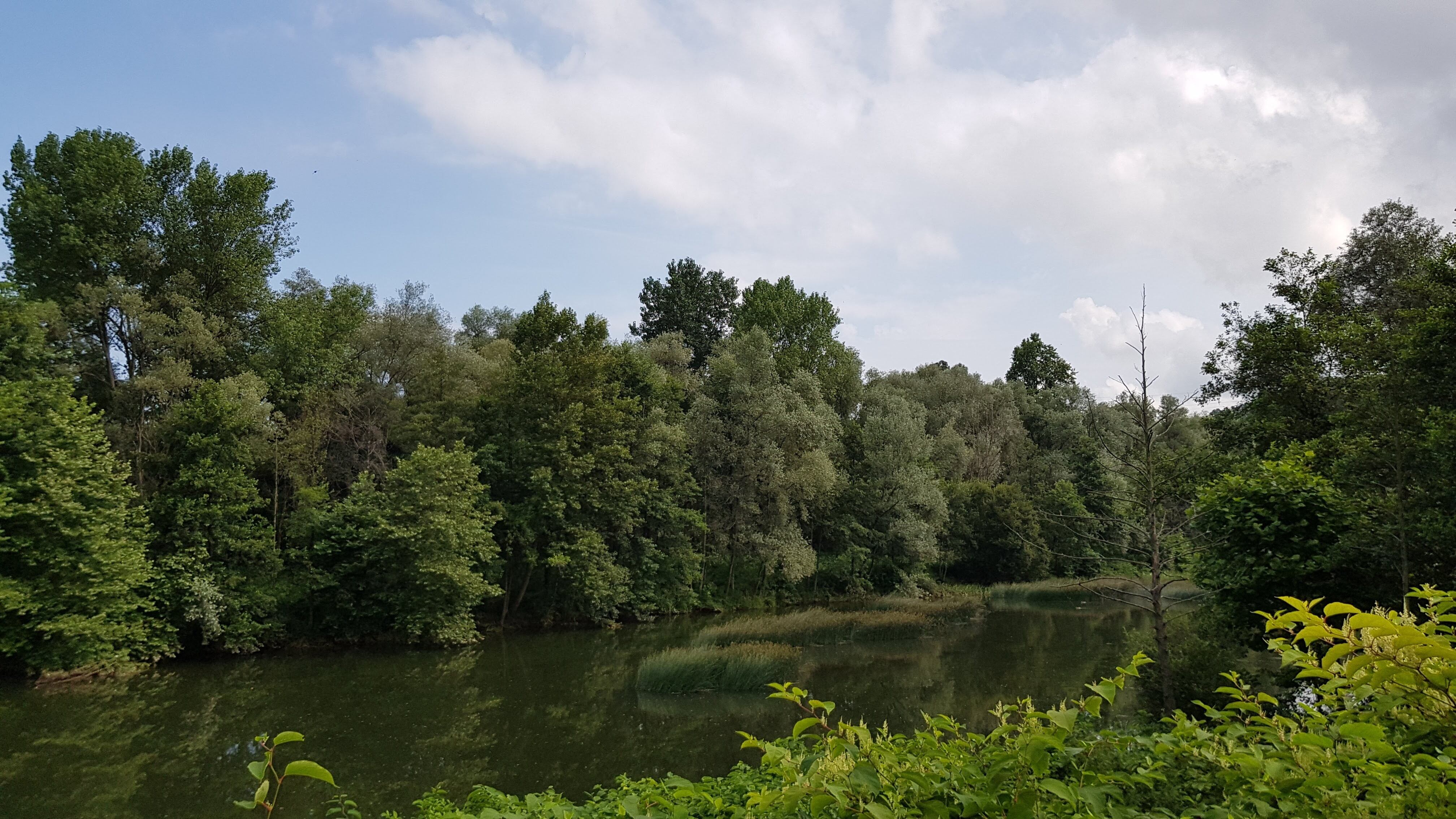 Ribera del Saja Besaya en el futuro parque de las Tablas