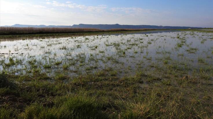Entrevista con Fernando Gómez, rastreador forestal (20/12/2021)