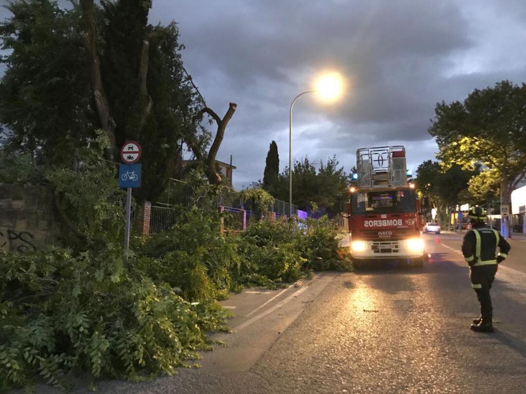 Los bomberos de Úbeda intervienen por la caída de ramas de árboles provocada por el fuerte viento