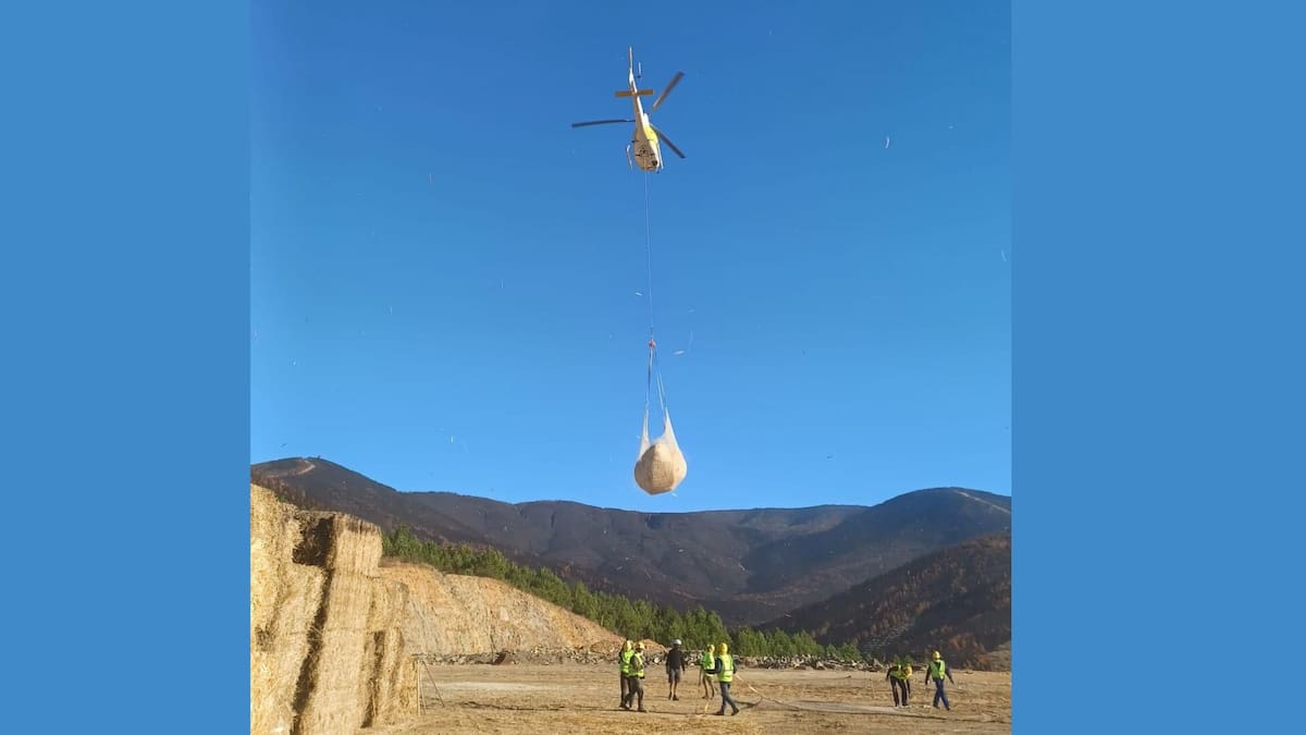 Ahora Decide denuncia el “fracaso absoluto” de la técnica de “helimulching”