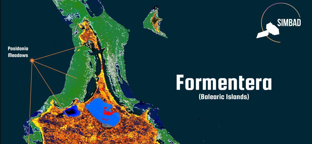 Monitorización de posidonia en la isla de Formentera