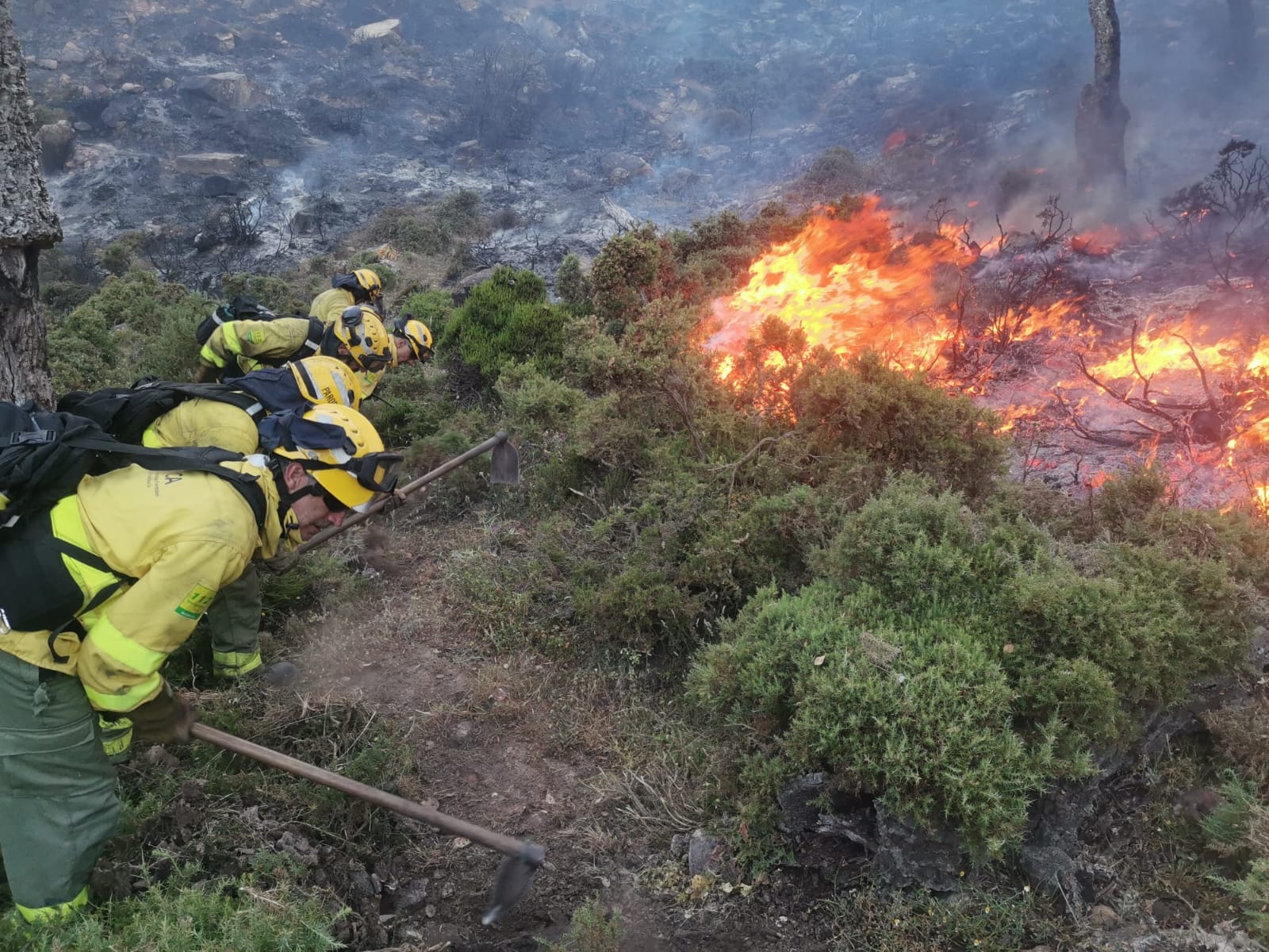 Unas 160 hectáreas ardieron en la provincia en 2024