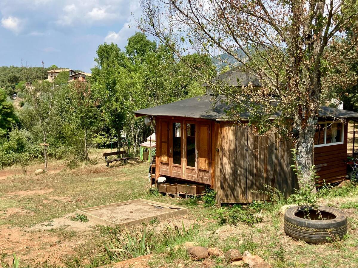 Gobierno de Aragón asegura que trabaja en la legalización de la escuela de Caneto