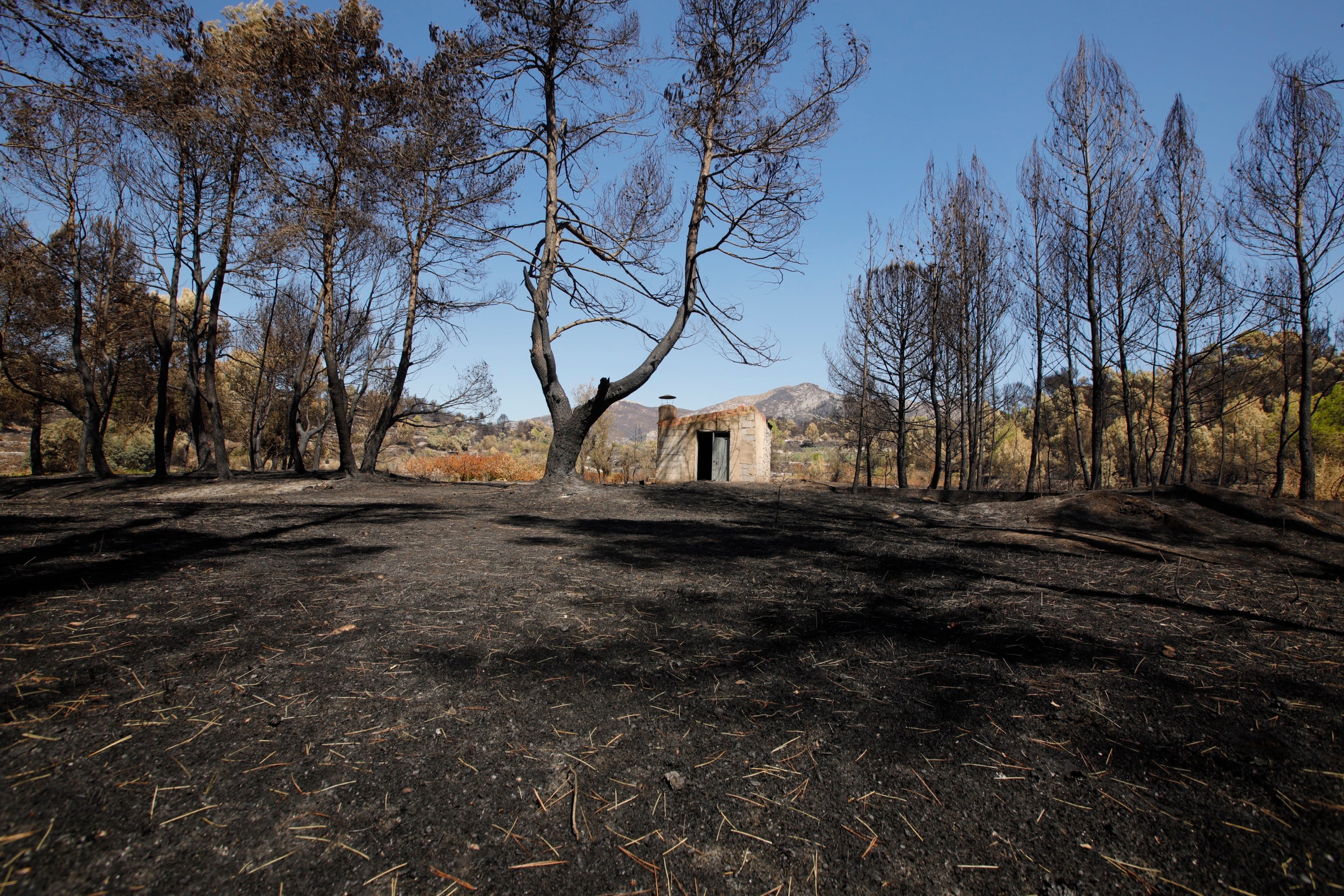 GRAFCVA7781. ALCALÁ DE LA JOVADA (ALICANTE), 18/08/2022.-El incendio forestal más virulento en muchos años de la Comunitat Valenciana, el que se inició el sábado en Vall d&#039;Ebo y que ha arrasado 11.500 hectáreas y obligado al desalojo de unos 1.500 vecinos, se sitúa en una zona geográfica, la comarca de la Marina Alta, considerada por los expertos como un &quot;islote lluvioso&quot; por los altos valores anuales pluviométricos, una singularidad que debería ayudar a la posterior regeneración del terreno.En la imagen, una casa afectada por el incendio.EFE/ Natxo Frances
