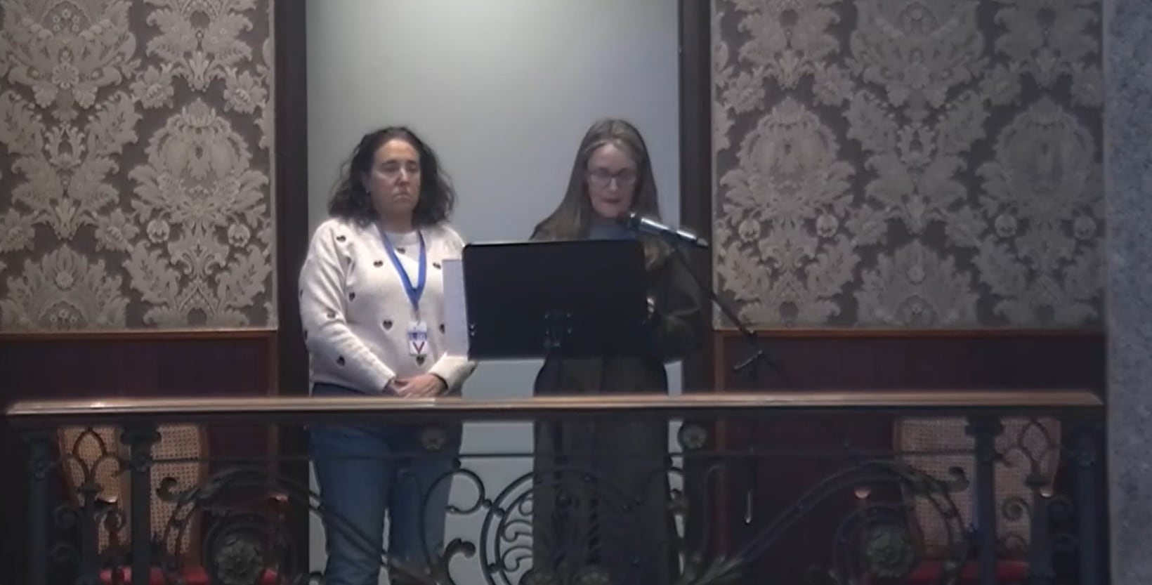 Mariló Gradolí y Rosa Álvarez, en la tribuna de invitados del ayuntamiento de València