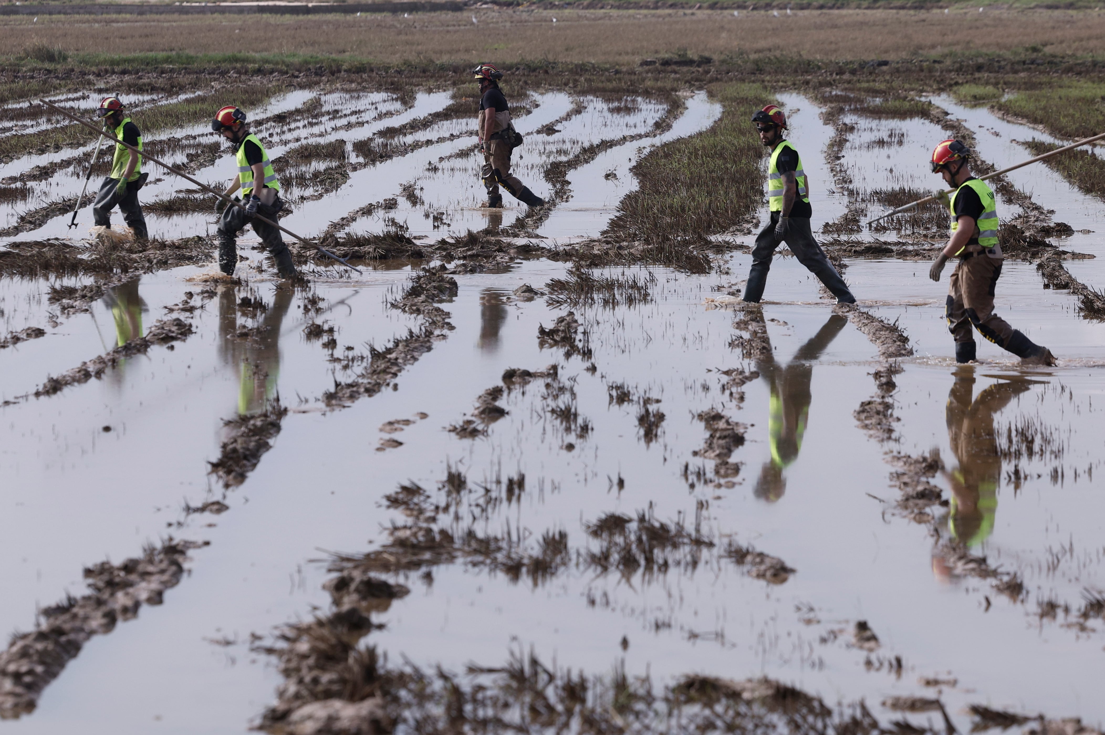 -FOTODELDÍA- ALFAFAR (VALENCIA), 08/11/2024.- Un batallón de la UME en labores de búsqueda de cuerpos arrastrados por las riadas entre los arrozales de Alfafar (Valencia)EFE/Kai Försterling