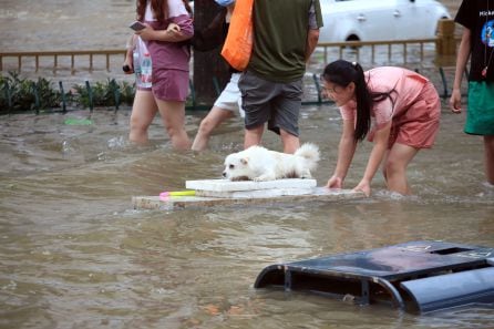 Una chica ayuda a un perro en las inundaciones ocurridas en China.