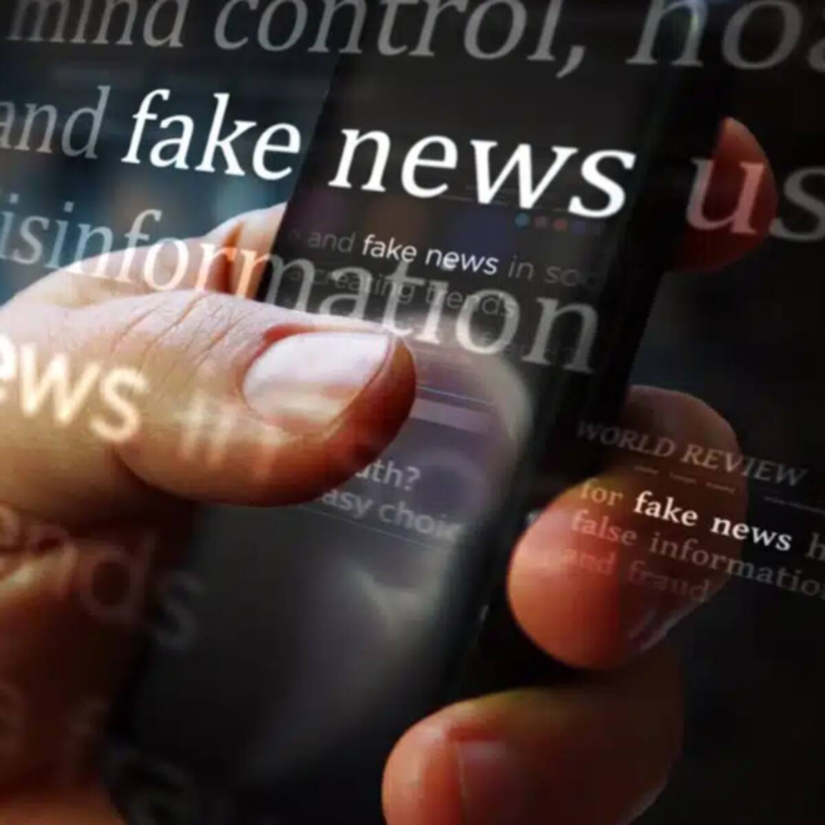 “El odio en redes no es solo un problema digital, es una amenaza para la democracia”