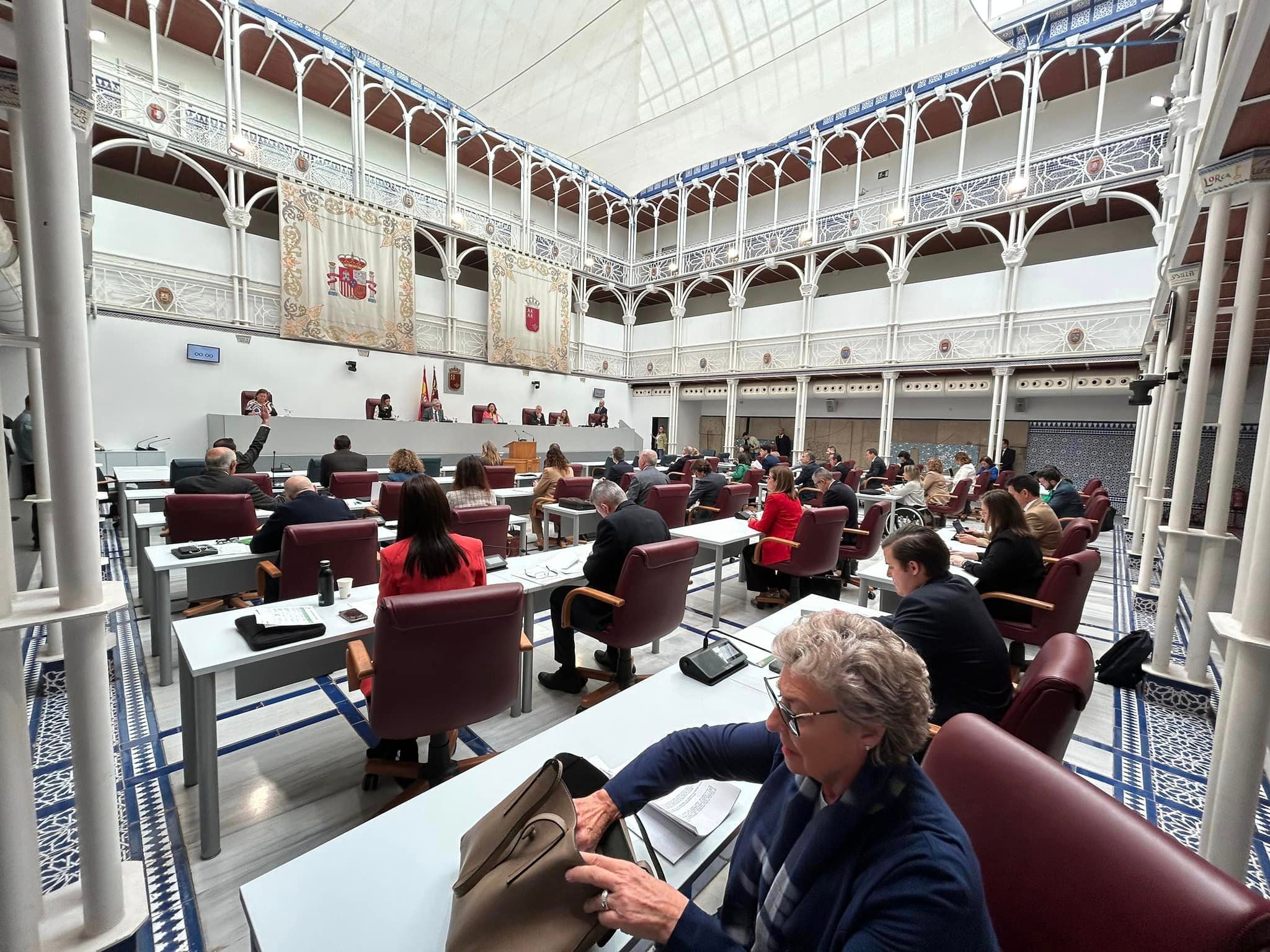 Pleno de la Asamblea Regional