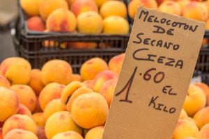 El melocotón de cieza es la &#039;joya de la corona&#039; de las frutas de hueso