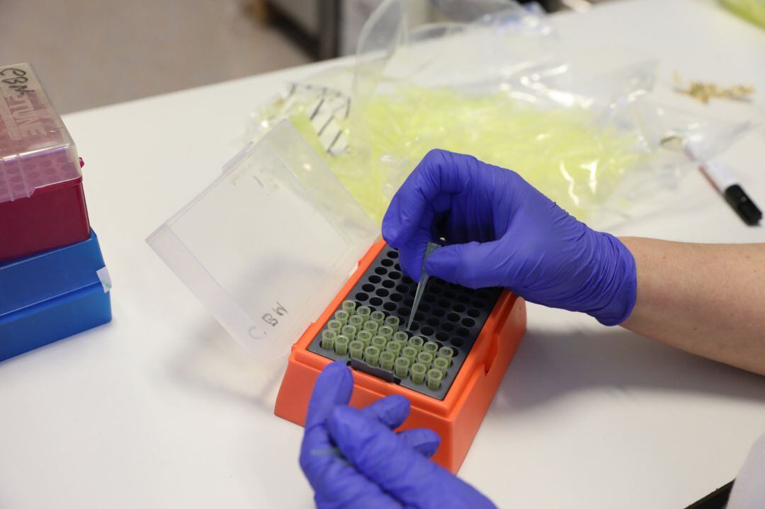 Muestras de laboratorio