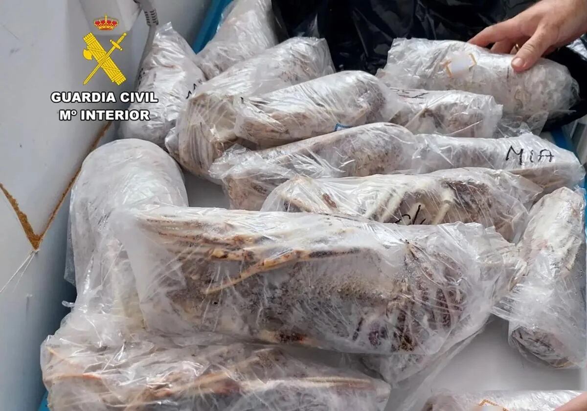 La Guardia Civil interviene 35 kilos de producto pesquero ilegal en un restaurante de Santa Pola