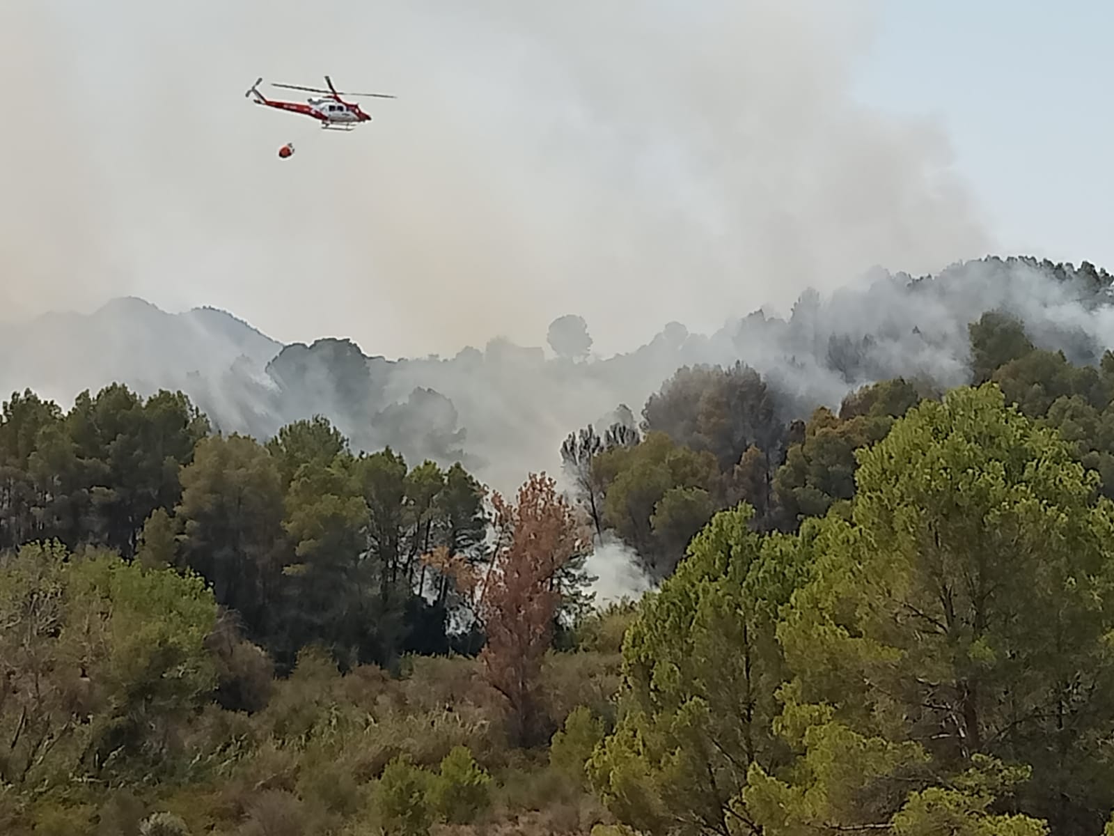 Medios aéreos trabajando en un reciente incendio en Barxeta