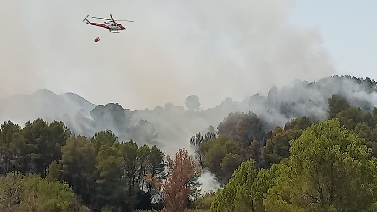 Xàtiva, La Llosa de Ranes, Novetlè y La Granja de la Costera quedan fuera de las ayudas para la prevención de incendios forestales