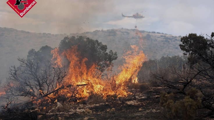 Ferran Edo (Comité de Empresa SGISE): "Falten mitjans en la Generalitat"