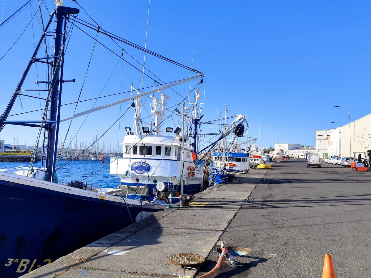 "A este precio no vale la pena ni salir a la mar", el lamento de los pescadores de Lanzarote