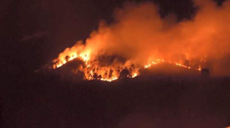 Incendio en el paraje Los Llanos de La Puerta de Segura