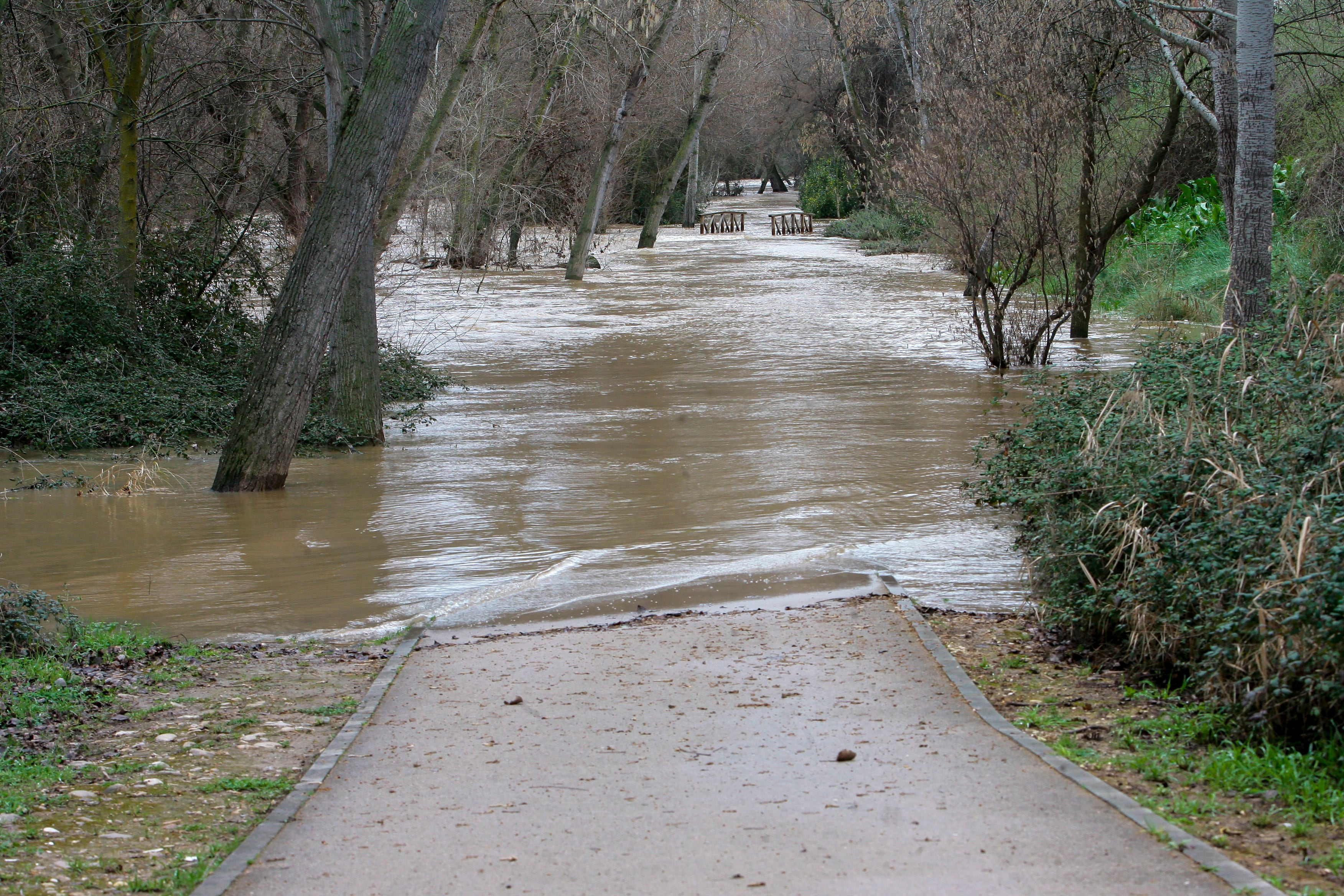 Aumento del cauce del río Henares, a su paso por Guadalajara, tras las intensas lluvias registradas en los últimos días en la región. EFE/ Pepe Zamora