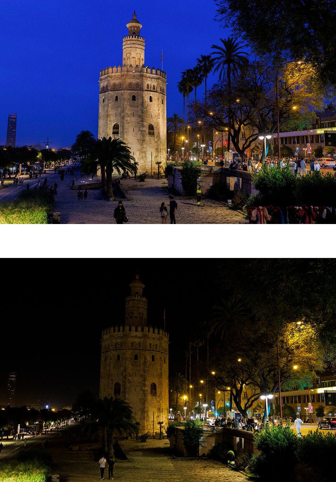 La Torre del Oro de Sevilla se apaga por motivo de &#039;La Hora del planeta&#039;,EFE/ Julio Muñoz