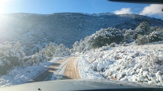 Pista de subida a Miramundos, Mágina, esta mañana