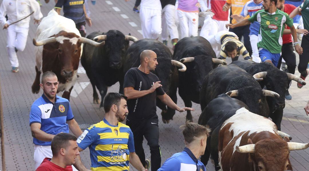 Encierros de San Sebastián de los Reyes