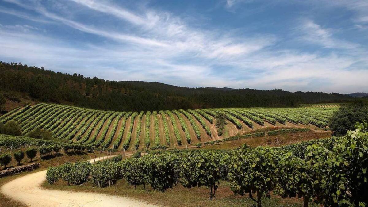 Sara García, gerente de la Ruta del Vino Ribera del Duero, habla sobre la convocatoria de los premios ACEVIN