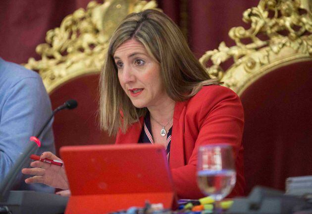 Irene García, presidenta de la Diputación provincial de Cádiz en un momento del Pleno Ordinario celebrado este miércoles.