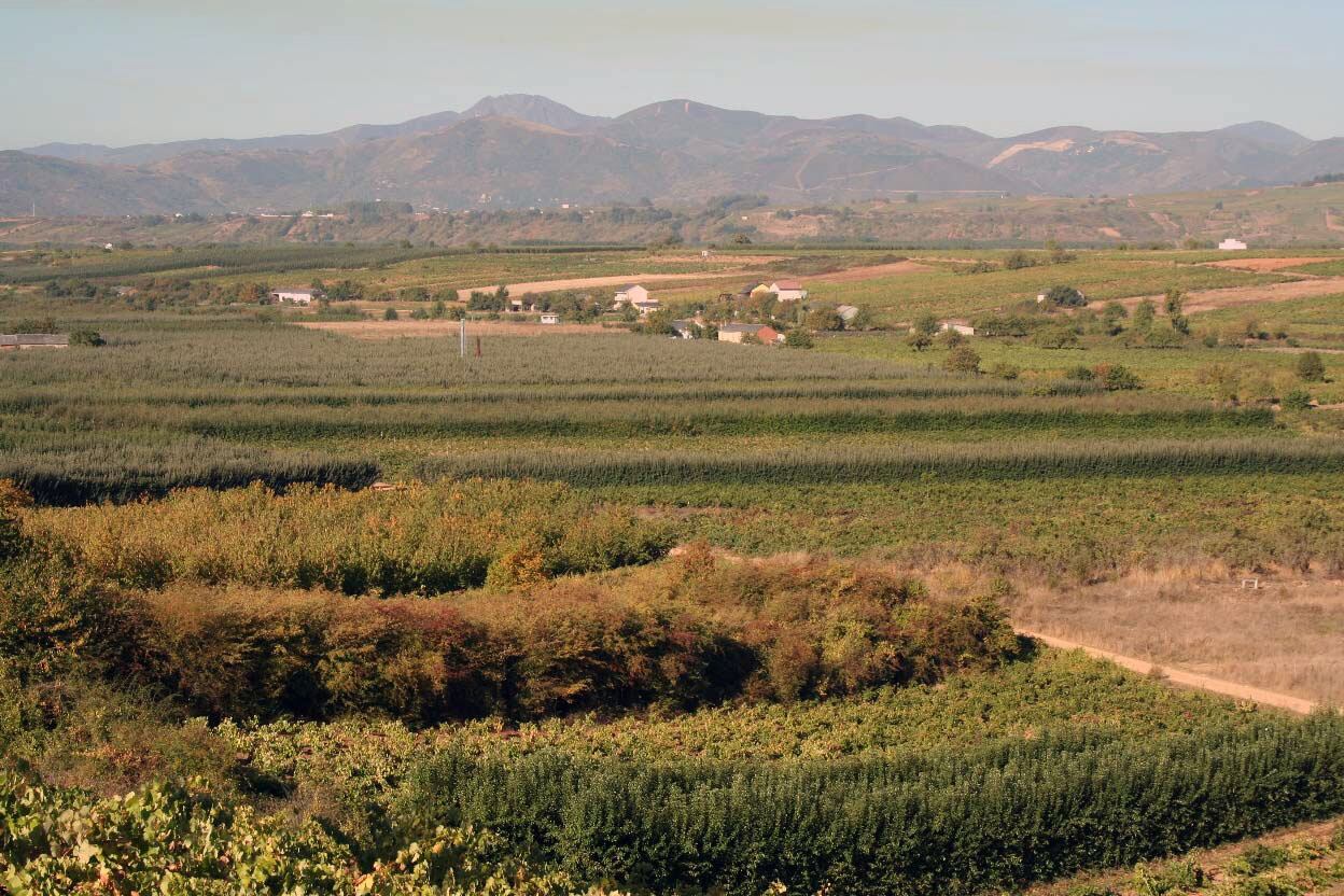Zona agrícola del Bierzo