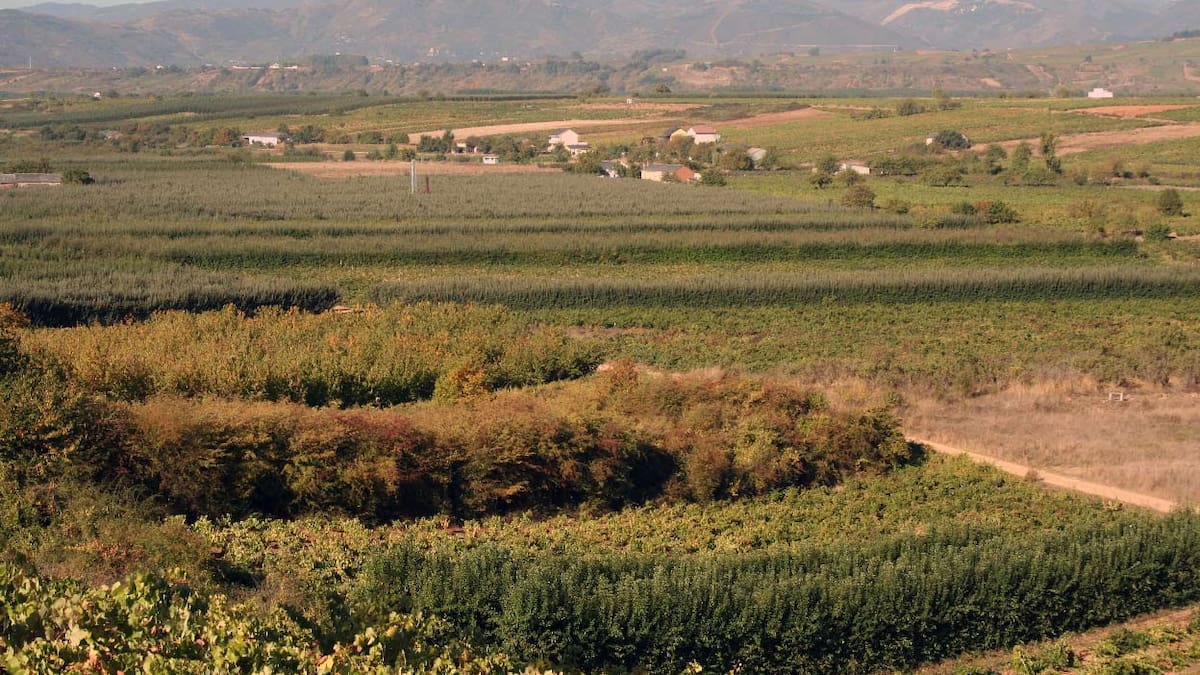 El Canal Bajo aprueba una última inversión para acometer las conexiones de agua a las fincas